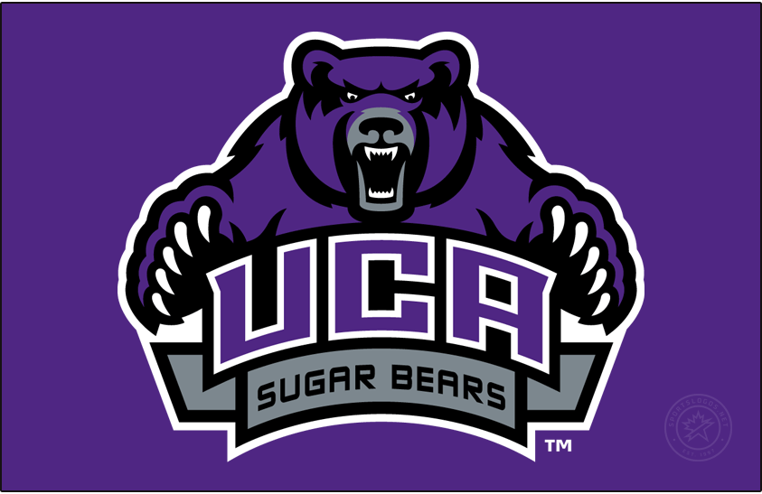 Central Arkansas Bears 2009-2021 Alt on Dark Logo diy iron on heat transfer